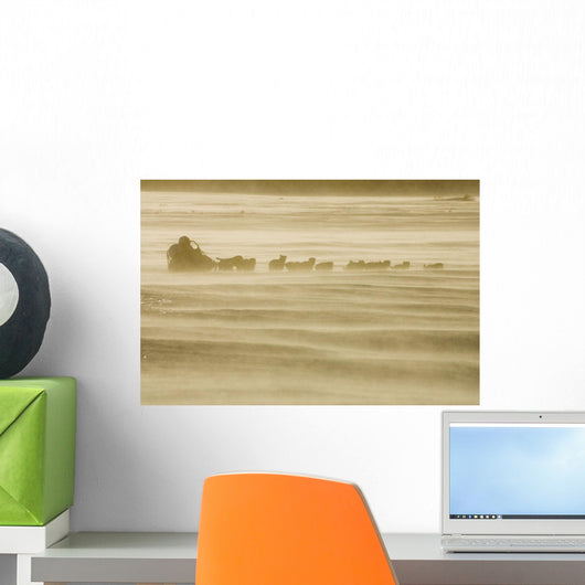 Martin Buser Runs Wall Mural