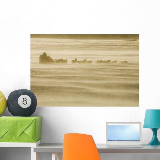 Martin Buser Runs Wall Mural