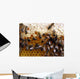 Honeycomb Wall Mural