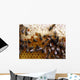 Honeycomb Wall Mural