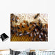 Honeycomb Wall Mural