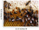 Honeycomb Wall Mural