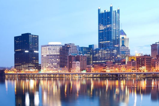 Monongahela River and Downtown Wall Decal