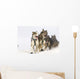 Michael Suprenant's Lead Dogs Wall Mural