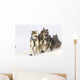 Michael Suprenant's Lead Dogs Wall Mural