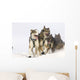 Michael Suprenant's Lead Dogs Wall Mural
