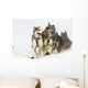 Michael Suprenant's Lead Dogs Wall Mural