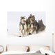 Michael Suprenant's Lead Dogs Wall Mural