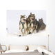 Michael Suprenant's Lead Dogs Wall Mural