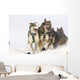 Michael Suprenant's Lead Dogs Wall Mural