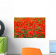 Champs Coquelicots Wall Decal