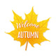 Autumn Maple Leaf Wall Decal