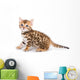 Bengal kitten on white background Wall Decal