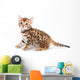 Bengal kitten on white background Wall Decal