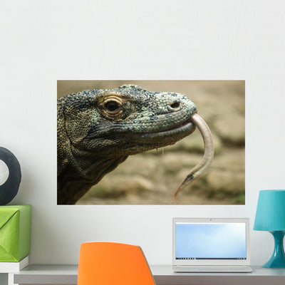 Komodo Dragon shown on a wall