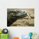 Komodo Dragon