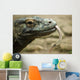 Komodo Dragon