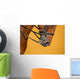 Dressage - muzzle of bay horse Wall Mural