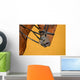 Dressage - muzzle of bay horse Wall Mural
