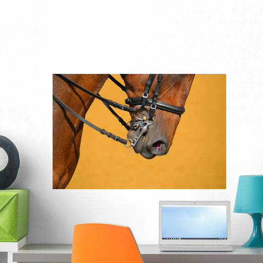 Dressage - muzzle of bay horse Wall Mural