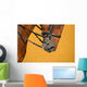 Dressage - muzzle of bay horse Wall Mural
