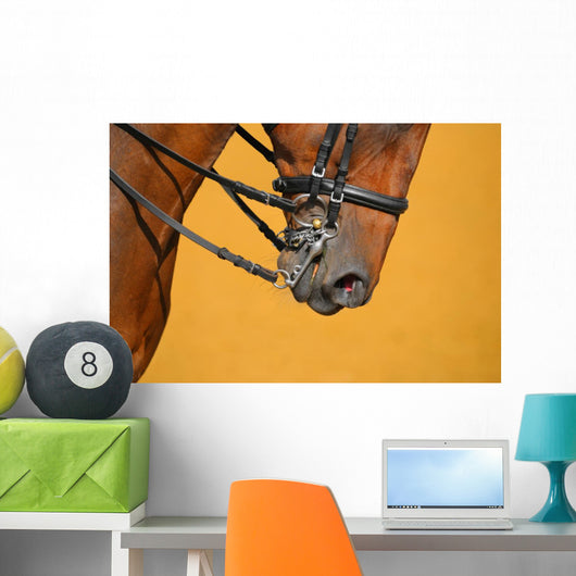 Dressage - muzzle of bay horse Wall Mural