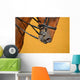 Dressage - muzzle of bay horse Wall Mural
