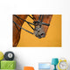 Dressage - muzzle of bay horse Wall Mural