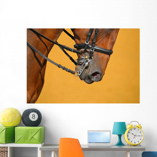 Dressage - muzzle of bay horse Wall Mural