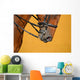 Dressage - muzzle of bay horse Wall Mural