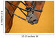 Dressage - muzzle of bay horse Wall Mural