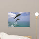 Pair Of Bottle Nose Dolphins Jumping Roatan Honduras Summer Wall Mural