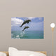 Pair Of Bottle Nose Dolphins Jumping Roatan Honduras Summer Wall Mural