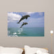 Pair Of Bottle Nose Dolphins Jumping Roatan Honduras Summer Wall Mural