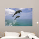 Pair Of Bottle Nose Dolphins Jumping Roatan Honduras Summer Wall Mural