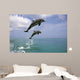 Pair Of Bottle Nose Dolphins Jumping Roatan Honduras Summer Wall Mural