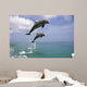 Pair Of Bottle Nose Dolphins Jumping Roatan Honduras Summer Wall Mural