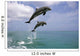 Pair Of Bottle Nose Dolphins Jumping Roatan Honduras Summer Wall Mural