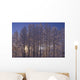 Frost Covered Trees Winter Scenic Sc Ak Wall Mural