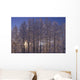 Frost Covered Trees Winter Scenic Sc Ak Wall Mural