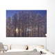 Frost Covered Trees Winter Scenic Sc Ak Wall Mural