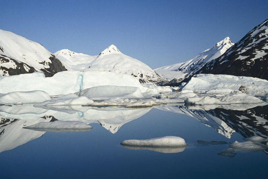 Icebergs In Lake Portage Glacier Southcentral Alaska Wall Mural