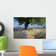 Lavender field with Olive tree, Provence. France Wall Mural