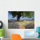 Lavender field with Olive tree, Provence. France Wall Mural