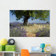 Lavender field with Olive tree, Provence. France Wall Mural