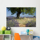 Lavender field with Olive tree, Provence. France Wall Mural