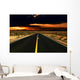 Road in Nevada Desert Wall Mural