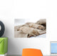 Sleeping Puppies of Golden Retriever Wall Mural