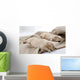 Sleeping Puppies of Golden Retriever Wall Mural