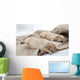 Sleeping Puppies of Golden Retriever Wall Mural